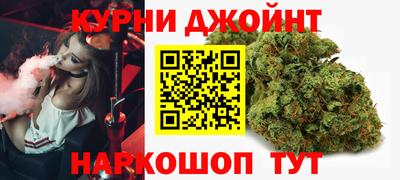 прущие грибы Шахты