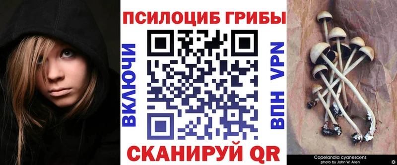 Галлюциногенные грибы Psilocybe  Реж 